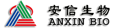 東莞模光模具科技有限公司